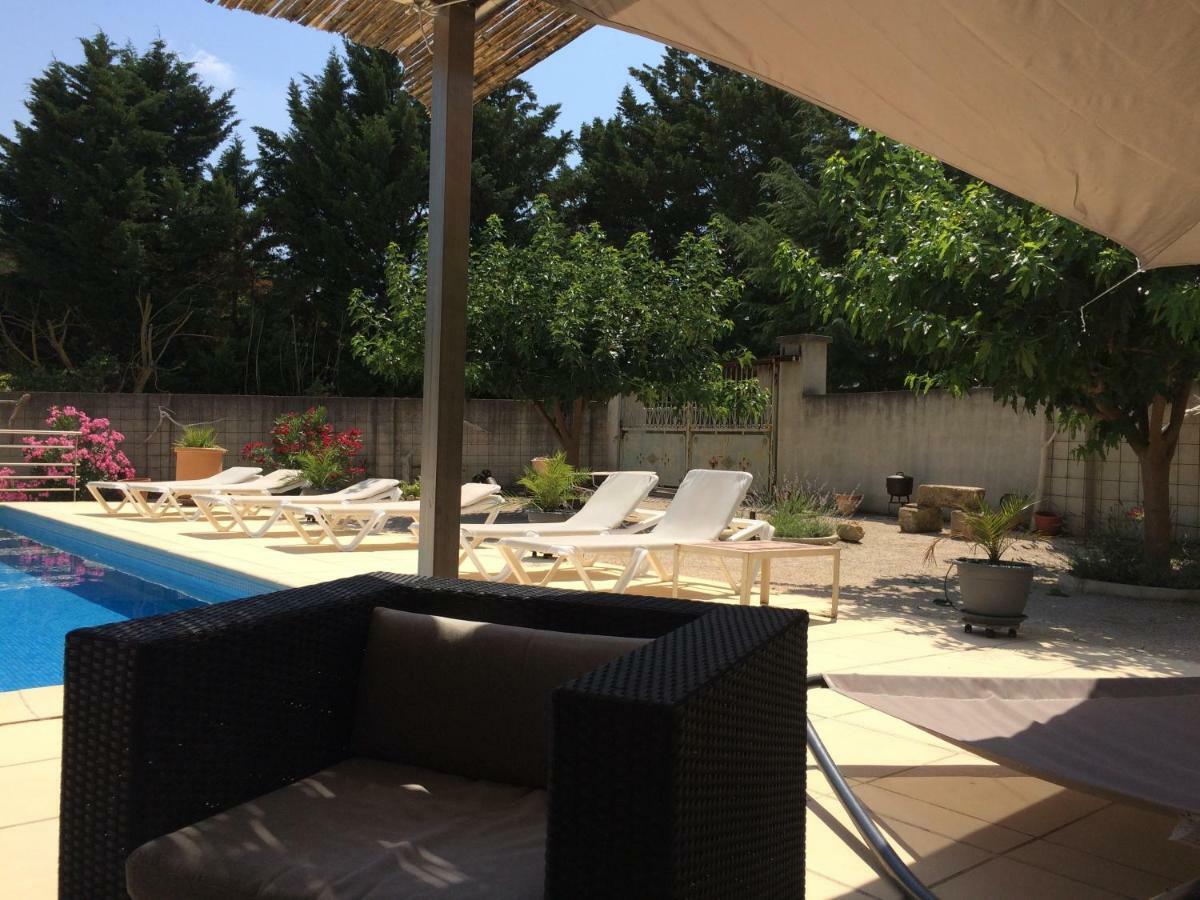 Homestay Salvaterra *